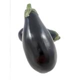 Aubergine regional