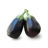Aubergine