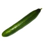 Gurke Schlangengurke regio