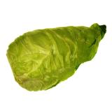Kraut Braunschweiger regio