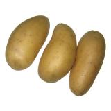 Kartoffeln ´Avanti '' fk früh