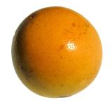 Grapefruit rot  Star Ruby