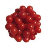 Tomate  Cherrytomaten regio