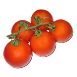 Tomate Fleischtomate regio