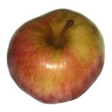 Apfel  " Jonagold " regio