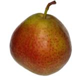 Birnen  " Novembra " regio