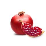 Granatapfel  '' Wonderful '' groß