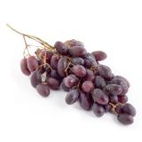 Traube rot " Red Globe "