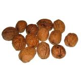 Walnüsse   Grenoble