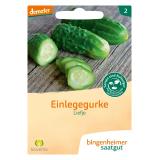 Saatgut Einlegegurken Liefje