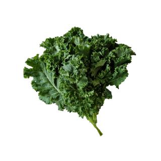 Grünkohl regio