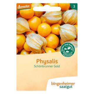 Saatgut Physalis Schönbrunner Gold