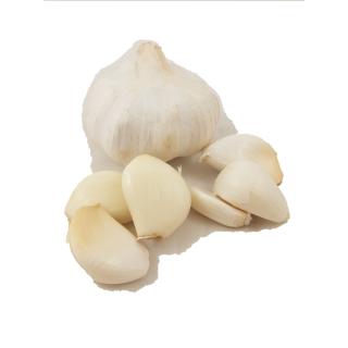 Knoblauch frisch ( 1 Knolle)