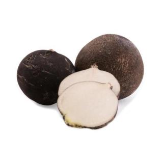 Rettich schwarz regio