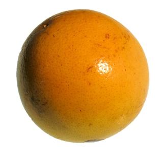 Grapefruit rot  Star Ruby