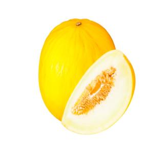 Melonen ´Gialetto´gelb - weißfleischig