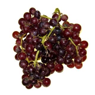 Trauben rot " Apulia " kernlos