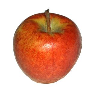 Apfel " Santana " neue regio