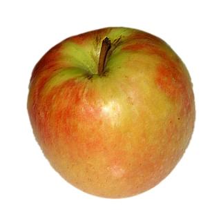 Äpfel aus regio Streuobstanbau - nicht Bio-zertifiziert-