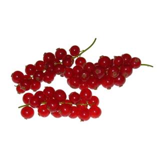Johannisbeere rot 250g Schale