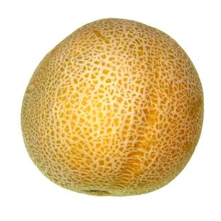 Melone " Cantaloup "