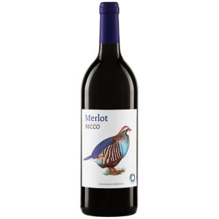 Wein Merlot Becco Veneto rot Trocken