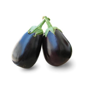 Aubergine