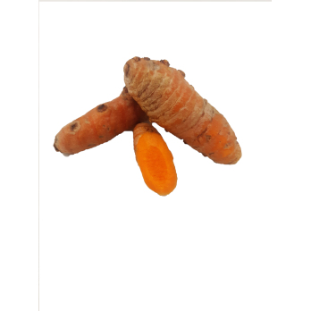 Kurkuma frisch (Gelber Ingwer)