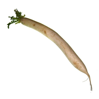 Rettich weiß - demeter - regio