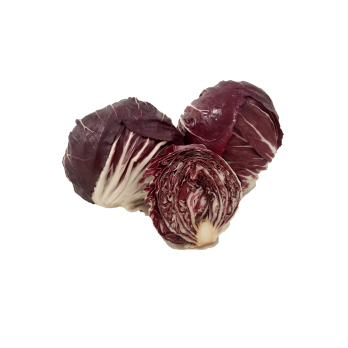 Salat Radicchio regio