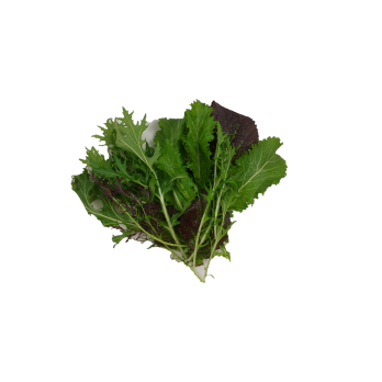 Salat Asia 100 g -regio -