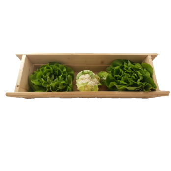 Blumenkasten Fichte 60cm für Wasserspeicher