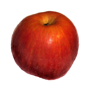 Apfel " Elstar "
