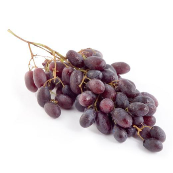 Traube rot " Red Globe "