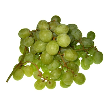 Traube  kernlos '' Autumn Crisp ''