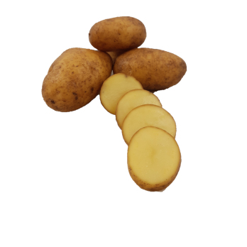 Kartoffeln " Simonetta" festkochend