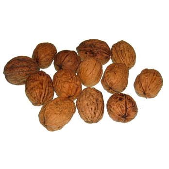 Walnüsse   Grenoble