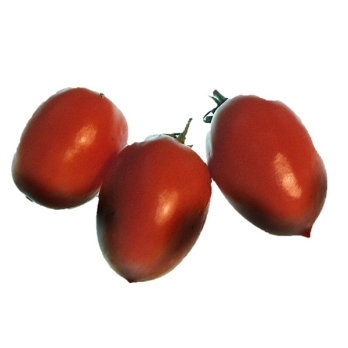 Strauchtomten / Tomate Rund