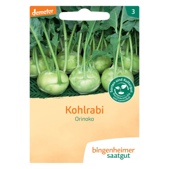 Saatgut Kohlrabi weiß Orinoko