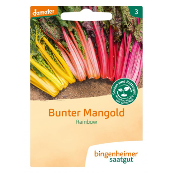 Saatgut Mangold Bunter Rainbow