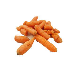 Karotten Saft- / Bruchkarotten