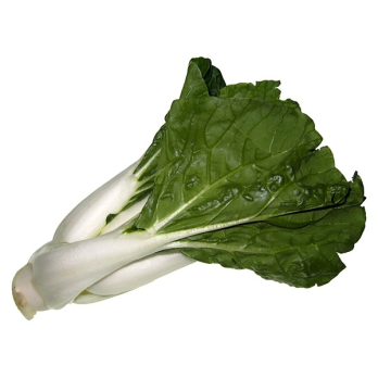 Pak Choi - Senf-Blätterkohl - ca. 600g