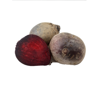 Rote Rüben länglich  regio