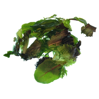 Salat Schnitt-Salat regio ( 150 g )