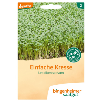 Saatgut Kresse, Einfache Kresse