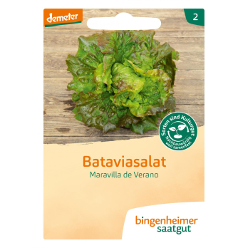 Saatgut Salat Batavia Maravilla de Verano
